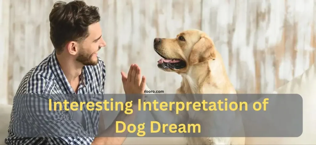 Interesting Interpretation of Dog Dream