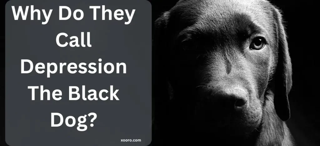 Why Do They Call Depression The Black Dog?