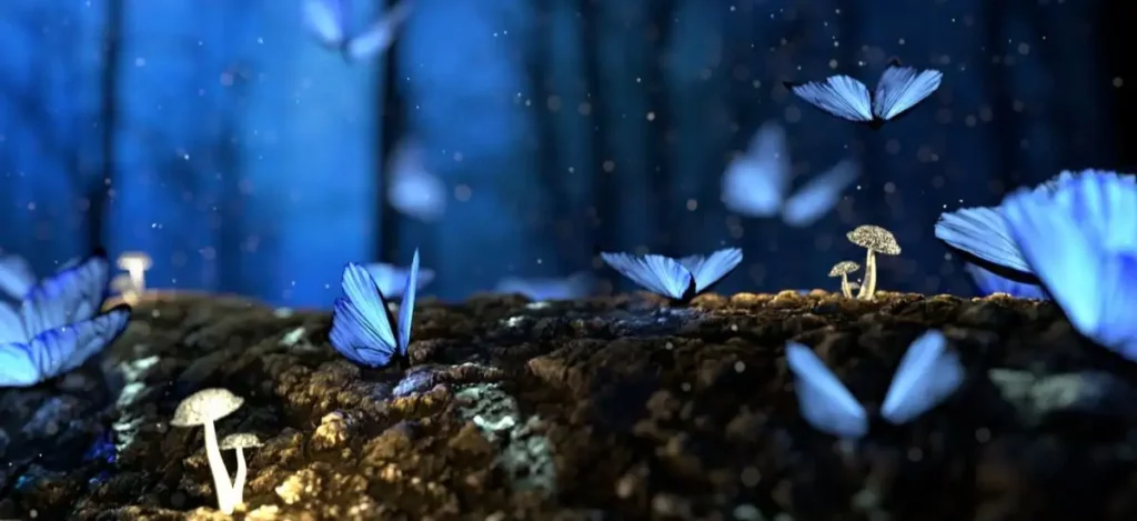 Black And Blue Butterfly Meaning In The Bible 