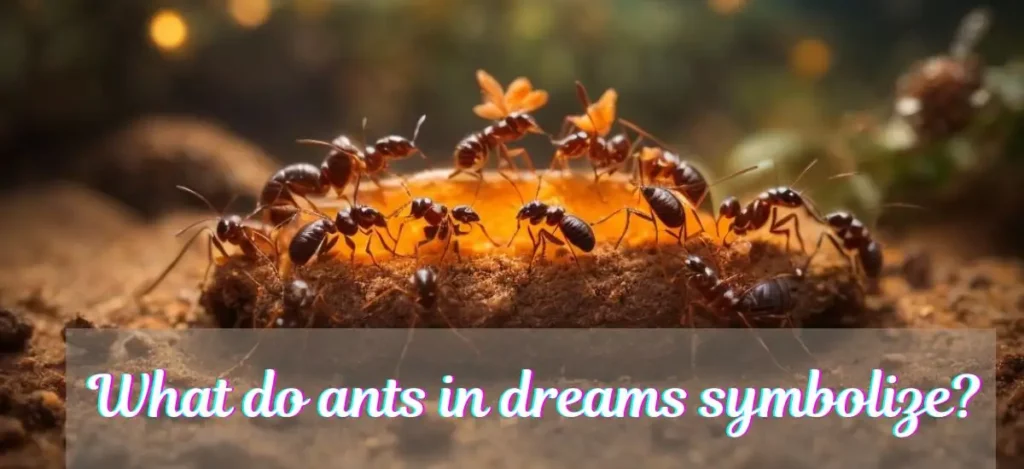 What do ants in dreams symbolize?