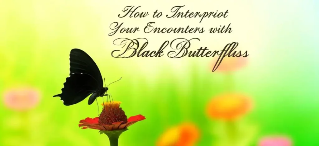 How to Interpret Your Encounters with Black Butterflies
