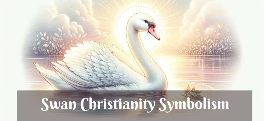 Swan Christianity Symbolism 