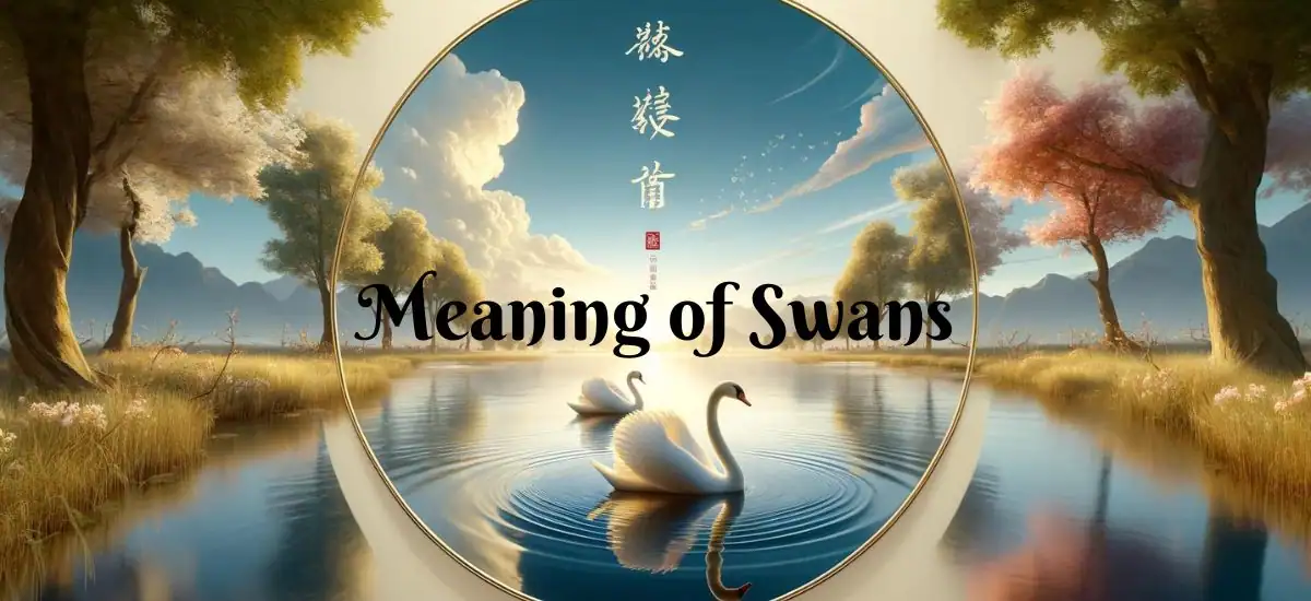 Swan Meaning