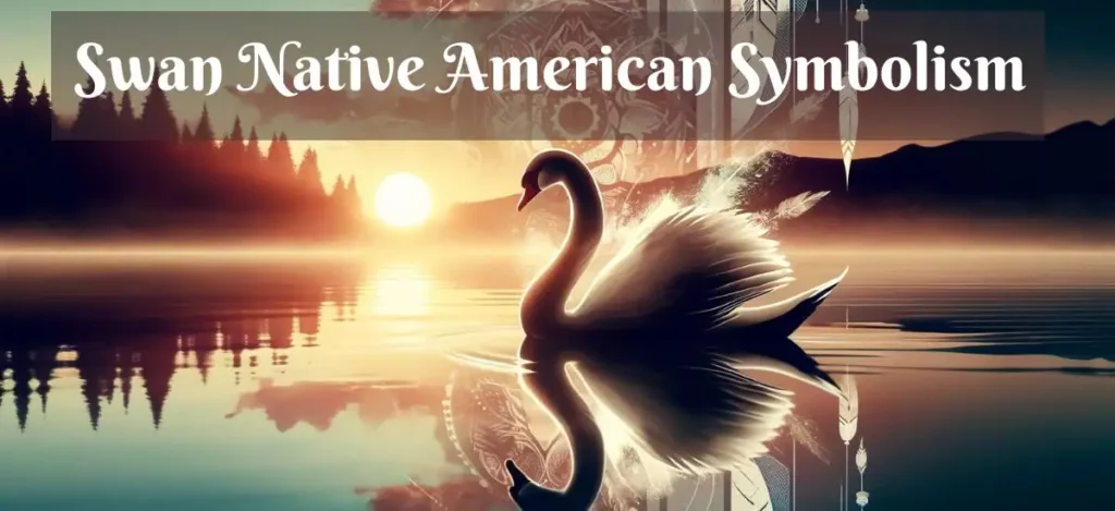 Swan Native American Symbolism 